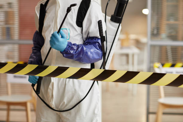 Professional Hoarding Cleanup technician working in Hingham, WI